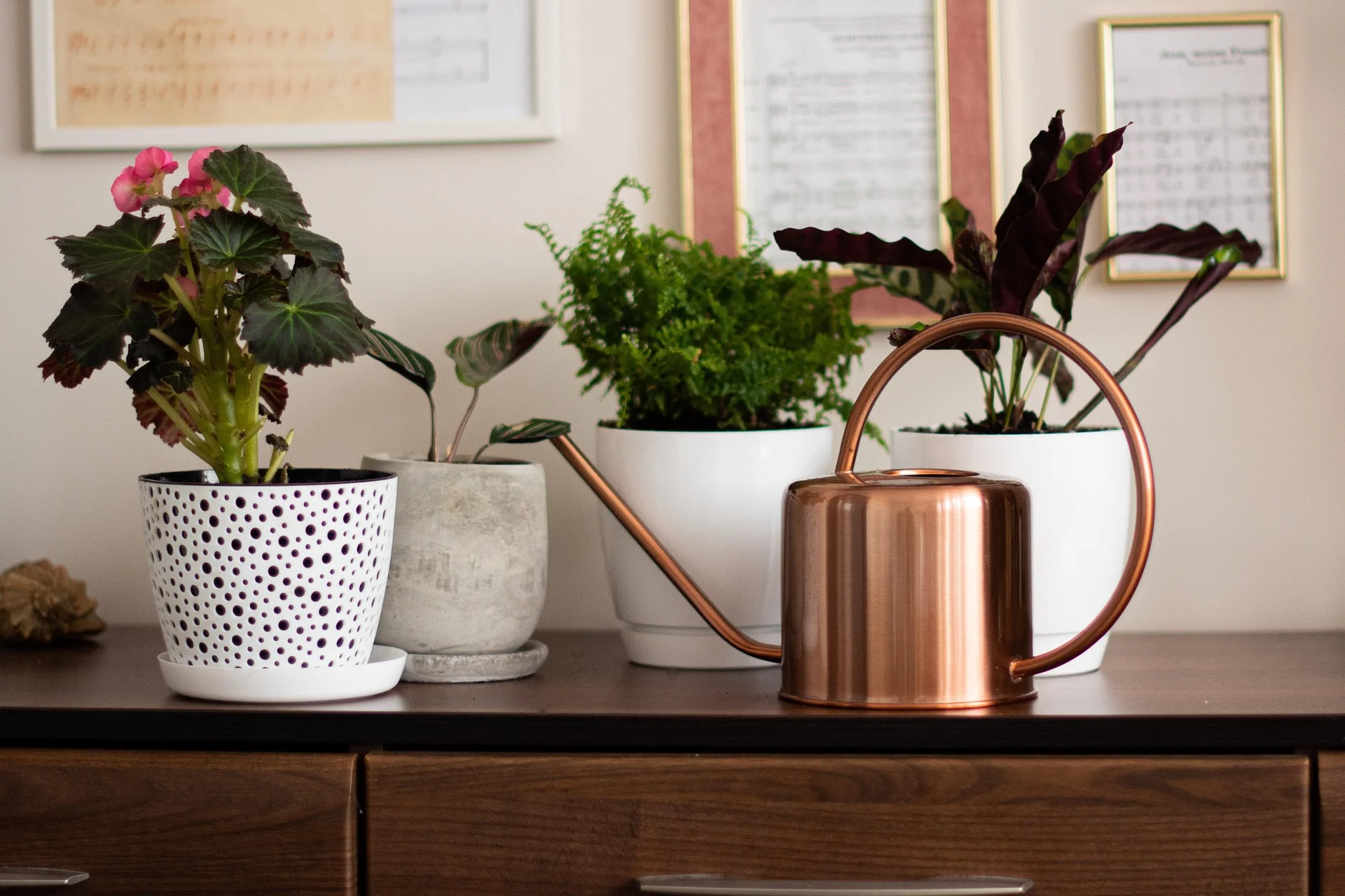 Plantas em cima da mesa de um apartamento