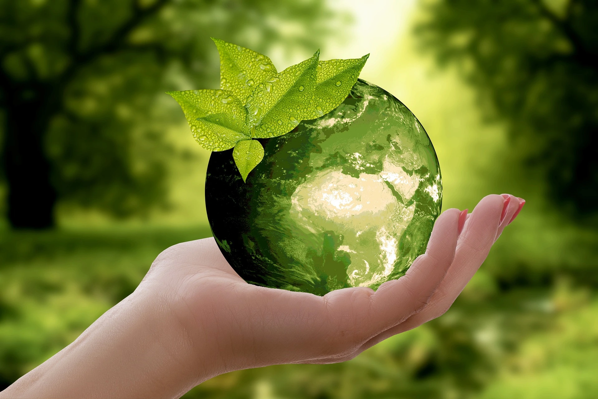 Planeta verde